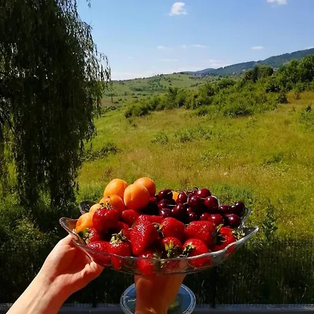 Διαμέρισμα Homeland *